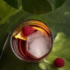 Ice Moulds Statement Hexagon Drinks Plinks -Hospitality Super Store DPHEX120 3 500x500 1