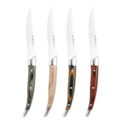 Wilkie Brothers 4 Piece Steak Knife Set