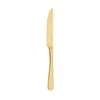 Amefa Austin Gold Table Knife -Hospitality Super Store TI19172 500x500 1