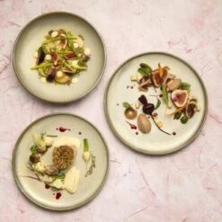 Moda Porcelain Chic Coupe 260mm Plate -Hospitality Super Store TI926026 1 500x500 1