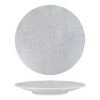 Luzerne Zen Grey Web Coupe Plate 275mm -Hospitality Super Store TI94911GW 1